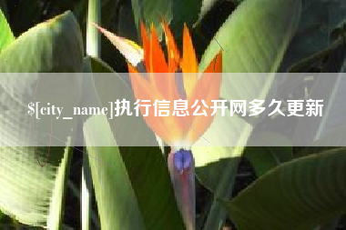 阿拉善盟执行信息公开网多久更新