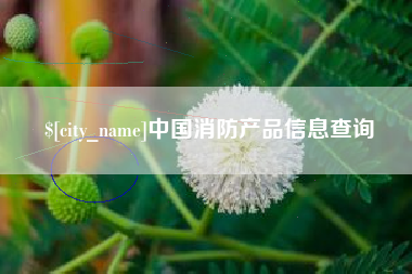 阿拉善盟中国消防产品信息查询