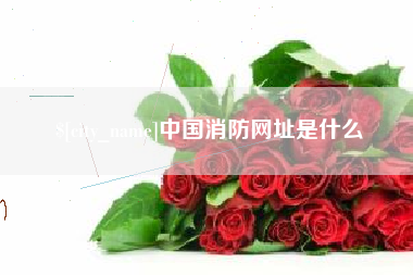阿拉善盟中国消防网址是什么