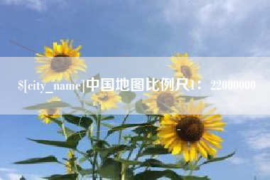 阿拉善盟中国地图比例尺1：22000000