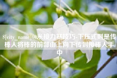 阿拉善盟60米接力赛技巧-下压式则是传棒人将棒的前部由上向下传到接棒人手中