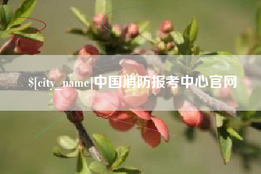阿拉善盟中国消防报考中心官网