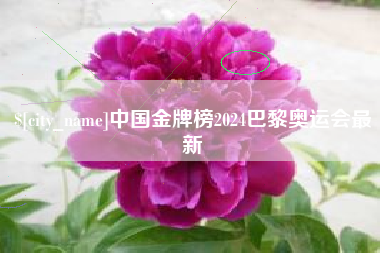 阿拉善盟中国金牌榜2024巴黎奥运会最新