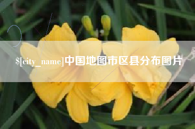 阿拉善盟中国地图市区县分布图片