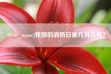 阿拉善盟我国的消防日是几月几号？