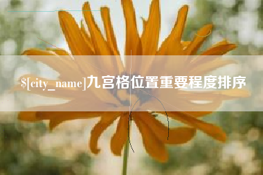 阿拉善盟九宫格位置重要程度排序