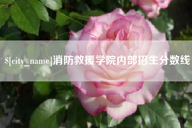 阿拉善盟消防救援学院内部招生分数线