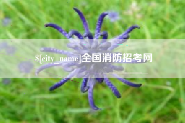 阿拉善盟全国消防招考网