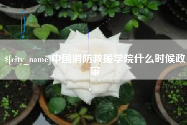 阿拉善盟中国消防救援学院什么时候政审