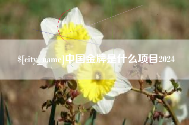 阿拉善盟中国金牌是什么项目2024