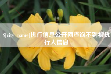 阿拉善盟执行信息公开网查询不到被执行人信息