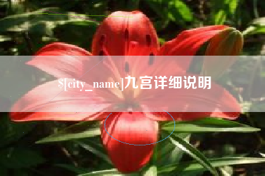 阿拉善盟九宫详细说明