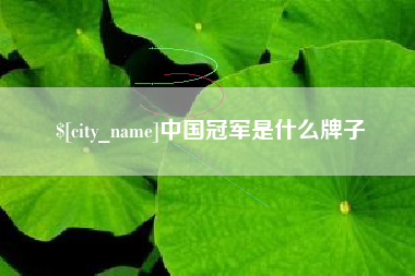 阿拉善盟中国冠军是什么牌子