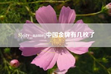 阿拉善盟中国金牌有几枚了