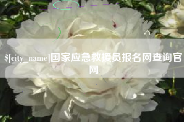 阿拉善盟国家应急救援员报名网查询官网
