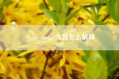 阿拉善盟九宫怎么解释