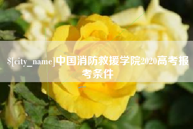 阿拉善盟中国消防救援学院2020高考报考条件