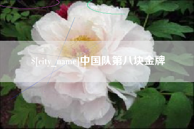 阿拉善盟中国队第八块金牌
