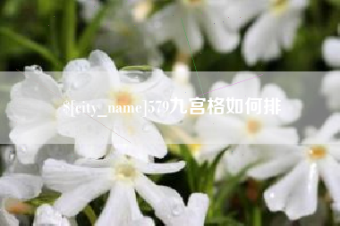 阿拉善盟579九宫格如何排