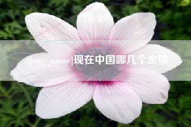 阿拉善盟现在中国哪几个金牌