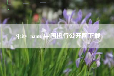 阿拉善盟中国执行公开网下载