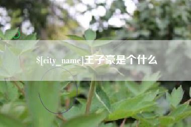 阿拉善盟王子豪是个什么