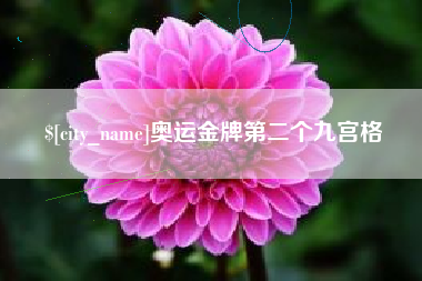 阿拉善盟奥运金牌第二个九宫格