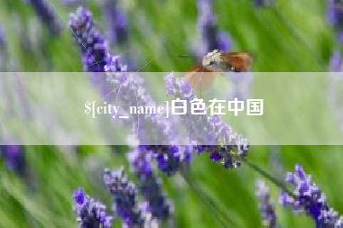 阿拉善盟白色在中国