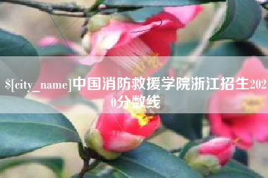 阿拉善盟中国消防救援学院浙江招生2020分数线