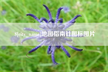 阿拉善盟地图指南针图标图片