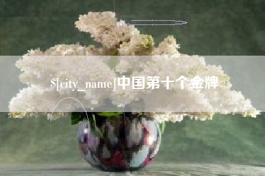 阿拉善盟中国第十个金牌