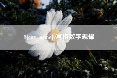 阿拉善盟9宫格数字规律