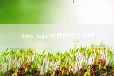 阿拉善盟中国的几个金牌