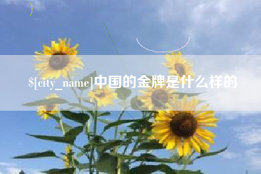 阿拉善盟中国的金牌是什么样的