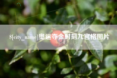 阿拉善盟奥运夺金时刻九宫格图片