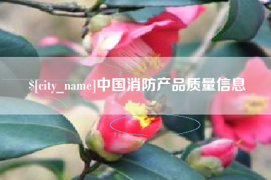 阿拉善盟中国消防产品质量信息