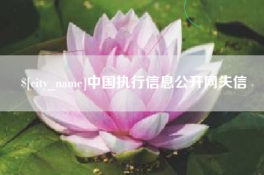 阿拉善盟中国执行信息公开网失信