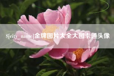 阿拉善盟金牌图片大全大图卡通头像