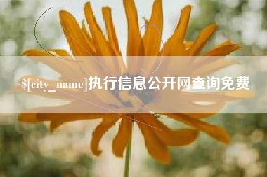 阿拉善盟执行信息公开网查询免费