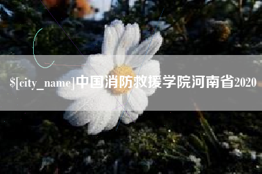 阿拉善盟中国消防救援学院河南省2020